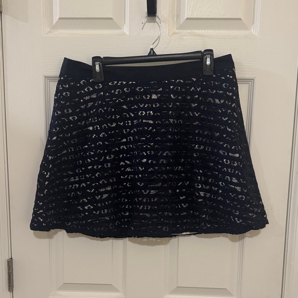The Limited Navy Lace Skater Skirt